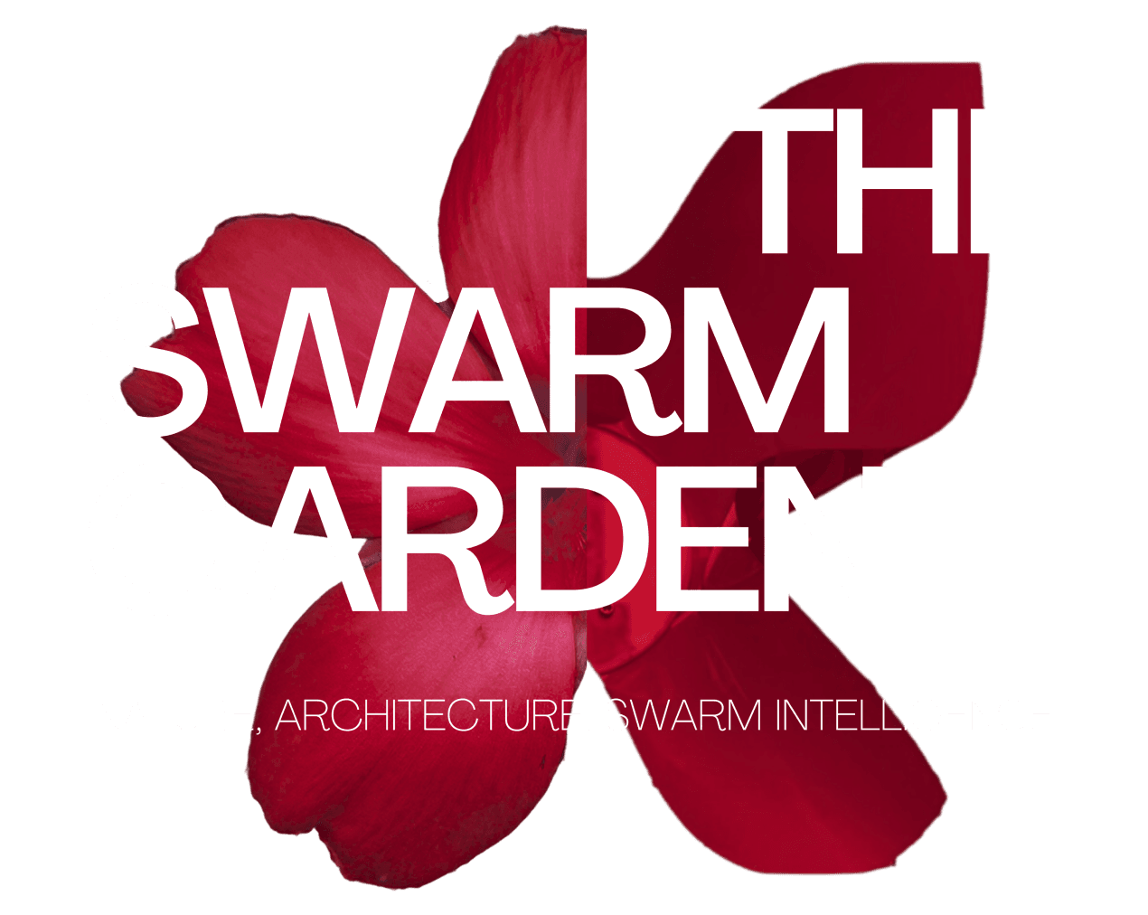 Swarm Garden Title